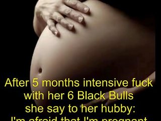 임신 한 부터 검정 bull